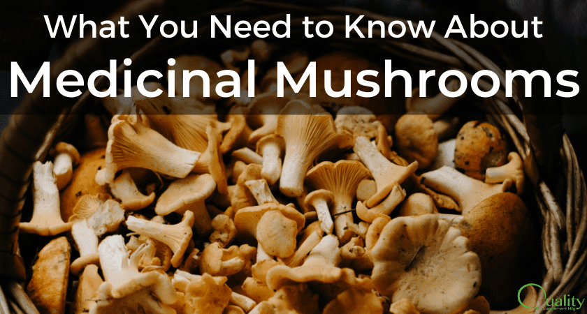 Trend: What You Need to Know About Medicinal Mushroom Supplements