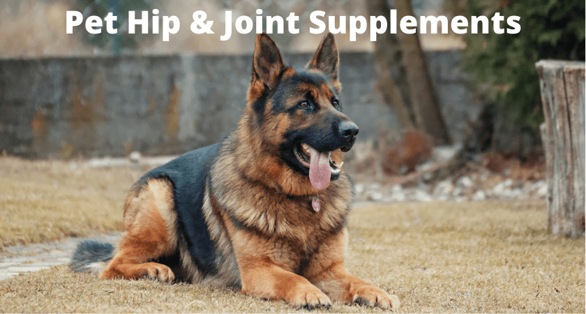 private label pet hip and joint supplements