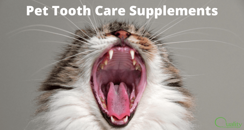 private label pet tooth care supplements